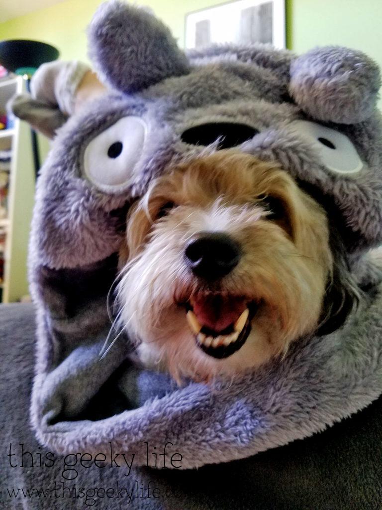 maya-totoro-hat-1